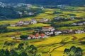 農業(yè)農村部：多措并舉推進農業(yè)農村綠色發(fā)展縮略圖
