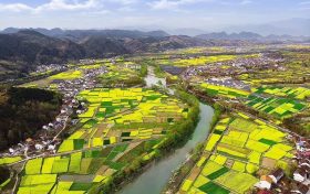 漢中油菜花節(jié)各縣區(qū)觀花線路公布！縮略圖