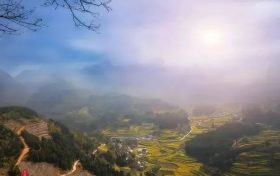 “云賞花”模式開啟，漢中最美春光都在這~縮略圖