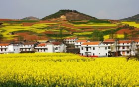 關(guān)于做好2022年全面推進鄉(xiāng)村振興重點工作的實施意見縮略圖 關(guān)于做好2022年全面推進鄉(xiāng)村振興重點工作的實施意見縮略圖