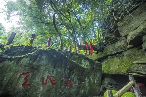 @寧強(qiáng)人，漢江源景區(qū)年卡福利來啦??！插圖15
