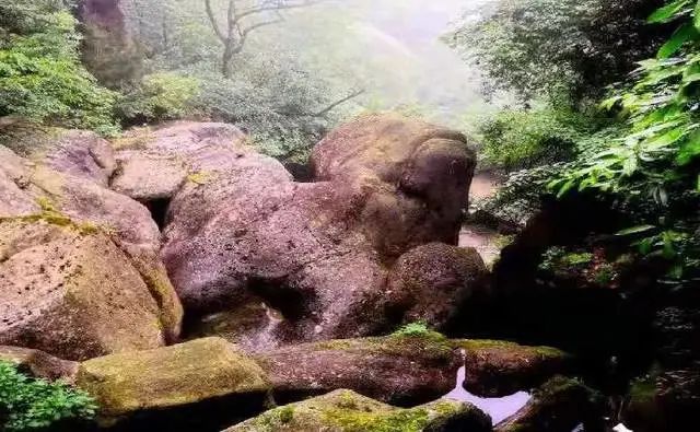@寧強(qiáng)人，漢江源景區(qū)年卡福利來啦！！插圖16