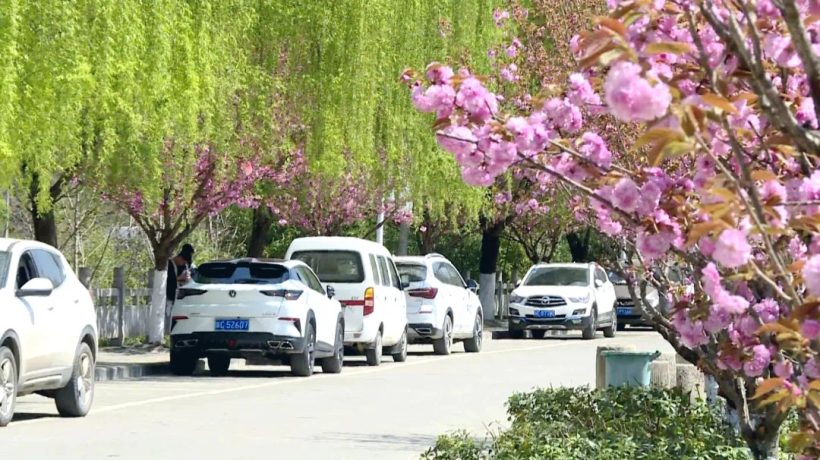 留壩：民房變民宿 增收添“門(mén)路”插圖6