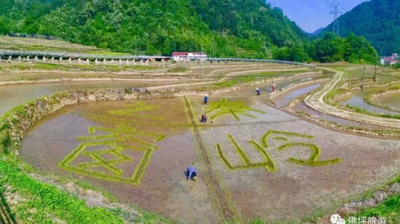 佛坪這些地方，讓你的春游不再單調(diào)！插圖17