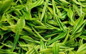 為什么說喝春茶沒必要“洗茶”？縮略圖