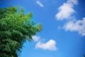 直接入夏！漢中氣溫將突破30℃縮略圖