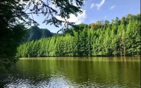 火爆出圈的漢中出游“頂流”，您最鐘意哪一處？縮略圖