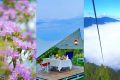賞花、觀云、露營(yíng)……這才是夏天的正確打開方式！縮略圖