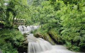 “5·12”國際護(hù)士節(jié)，免費(fèi)入園！縮略圖