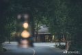 闖進(jìn)留壩秘境森林，過22℃的夏天縮略圖