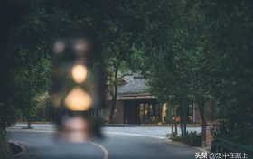 闖進(jìn)留壩秘境森林，過22℃的夏天縮略圖
