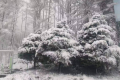 陜西多地5月飄雪！氣象局連發(fā)12個(gè)預(yù)警 最低氣溫6℃……縮略圖