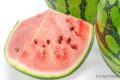 一口8400個細菌？你是合格的夏日“吃瓜群眾”嗎？縮略圖