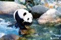 全國(guó)首家！開(kāi)工！縮略圖
