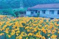 文旅行業(yè)新添兩個“新職業(yè)”！縮略圖