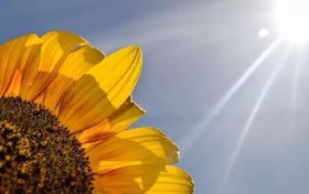 盲目追求“夏練三伏”不可取 專家送你份科學運動指南縮略圖