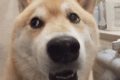 微信將可開“小號”，沖上熱搜！縮略圖