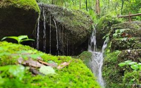想要逃離“桑拿天”，就到漢江源！看表演、避暑……享清涼！縮略圖