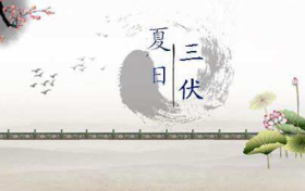 三伏天怎么吃，一次給您說明白縮略圖