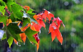 雨終于來了！未來三天陜西省大范圍降水縮略圖