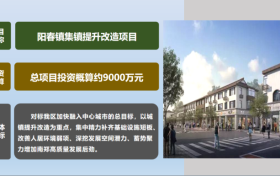 總項(xiàng)目投資約9000萬(wàn)元，南鄭一鎮(zhèn)提升改造項(xiàng)目縮略圖