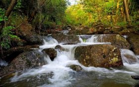 嗨~你好！這里是漢江源縮略圖