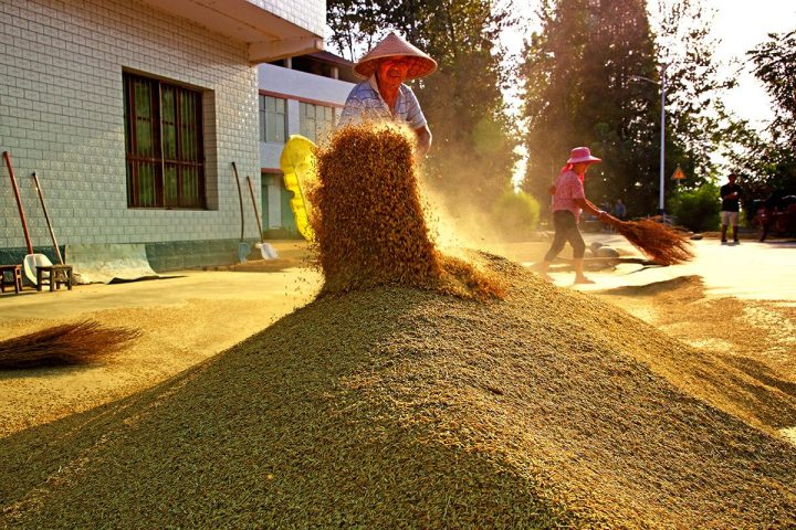 0000f506a2421c68788ba50e1a8aaf09 0000f506a2421c68788ba50e1a8aaf09