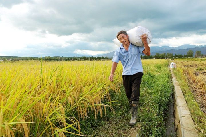 18cca86d3e1885214fc7c8698c277055 18cca86d3e1885214fc7c8698c277055