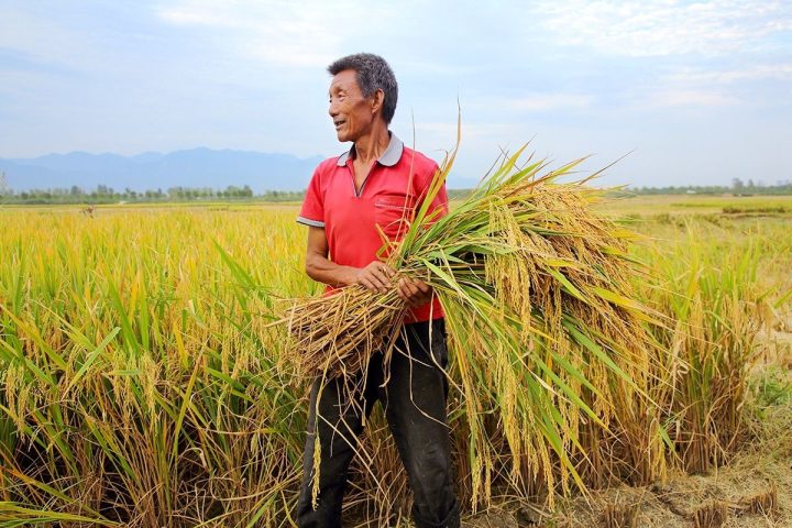 4e0818342dc4525c3a821c4c81c2c8d4 4e0818342dc4525c3a821c4c81c2c8d4