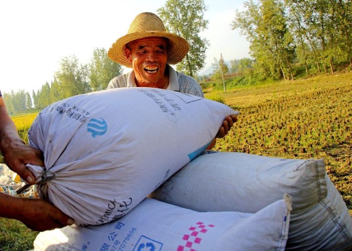 52af15b326fb0ea3a59ffb644d6acacd 52af15b326fb0ea3a59ffb644d6acacd