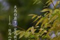 今日白露，勿忘添衣縮略圖