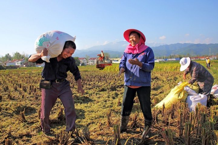 664039b594b5e101b3faaf69ae7508da 664039b594b5e101b3faaf69ae7508da