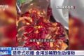 流量至上催生獵奇式吃播 多管齊下如何剎住“吃奇”之風(fēng)？縮略圖