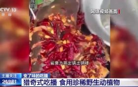 流量至上催生獵奇式吃播 多管齊下如何剎住“吃奇”之風(fēng)？縮略圖