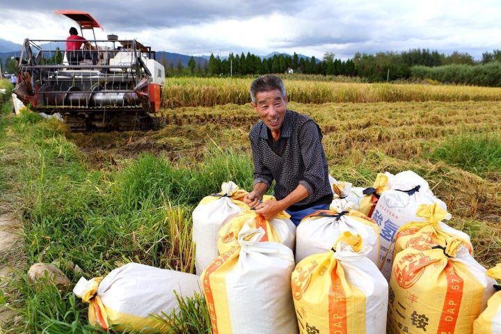 9ecba477169677ecb307998adb080dcd 9ecba477169677ecb307998adb080dcd