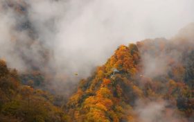 霜降 | 天上寒霜降，人間秋色深縮略圖