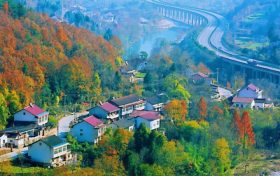 這是山城的邀約，快來(lái)略陽(yáng)邂逅最燦爛的紅葉縮略圖