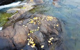 未來三天陜西降水、吹風(fēng)持續(xù) 清晨易出現(xiàn)大霧縮略圖