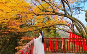 令人陶醉，心之向往！邂逅漢江源秋日調(diào)色盤縮略圖