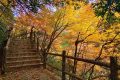 邂逅漢中這里，綿延山脈極致色彩等你來欣賞縮略圖