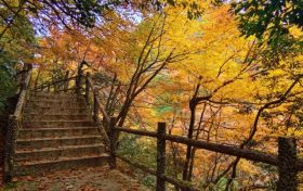 邂逅漢中這里，綿延山脈極致色彩等你來欣賞縮略圖