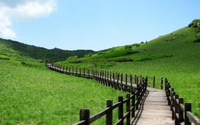 來留壩，我“氧”你！ 紫柏山負(fù)氧離子含量超國際標(biāo)準(zhǔn)13倍縮略圖
