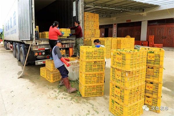 65cff032083ca81416891f535ce1eaf1