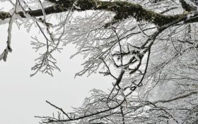 云賞龍頭山入冬初雪！霧凇奇觀太美啦！縮略圖