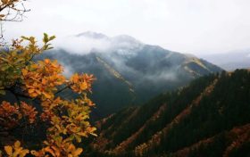 正當(dāng)時(shí)，邂逅青木川的初冬縮略圖