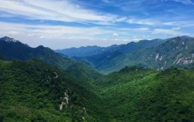 朱鹮、秦嶺石蝴蝶珍稀瀕危物種保護(hù)入選2022年生物多樣性保護(hù)優(yōu)秀案例縮略圖