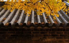 藏在漢中這座古鎮(zhèn)里的中國(guó)色，美得不可方物！縮略圖