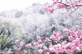 2022年十大流行語發(fā)布 你最熟悉的是哪個(gè)？縮略圖