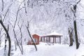 相約漢江源，共赴冰雪世界縮略圖