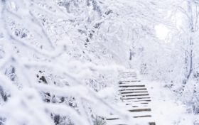 兩次弱雨雪！漢中“春節(jié)”最低氣溫在這天→縮略圖